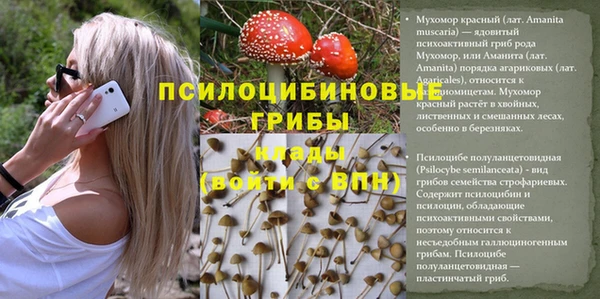марки lsd Горнозаводск