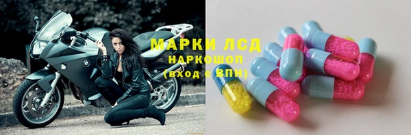 ECSTASY Горняк