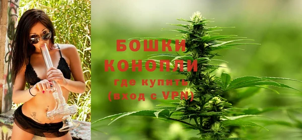 ECSTASY Горняк