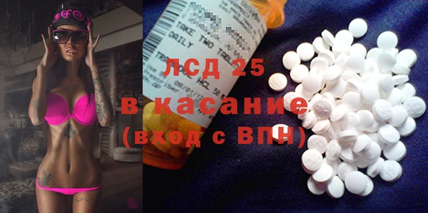 ECSTASY Горняк
