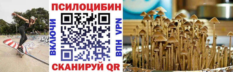 Псилоцибиновые грибы Magic Shrooms  Купить закладки  Воркута 